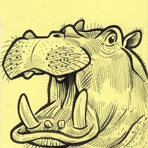 Shocked Hippo
