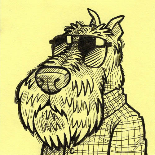 Cool schnauzer wearing sunglasses and a shirt