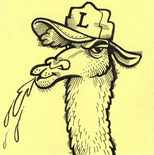 Spitting llama wearing baseball hat