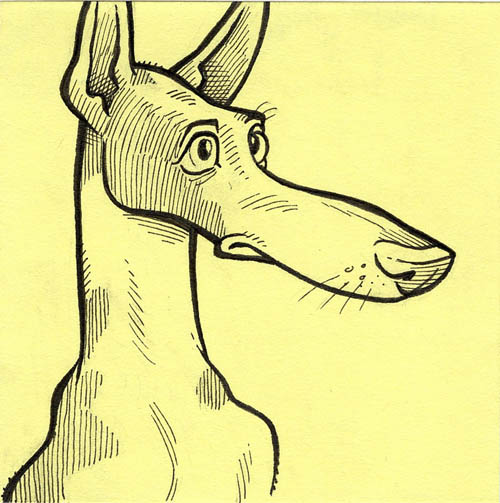 Ibizan Hound Drawing